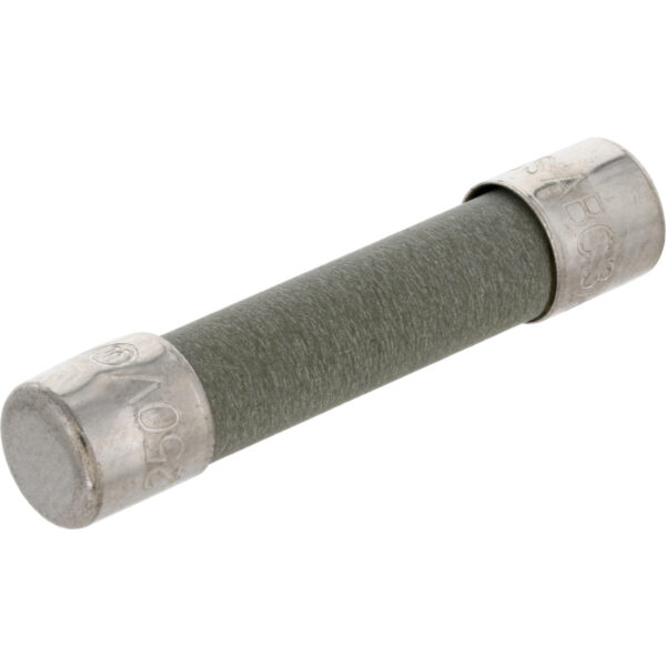 3 Amp ceramic fast acting fuse with nickel-plated brass endcaps on white background.