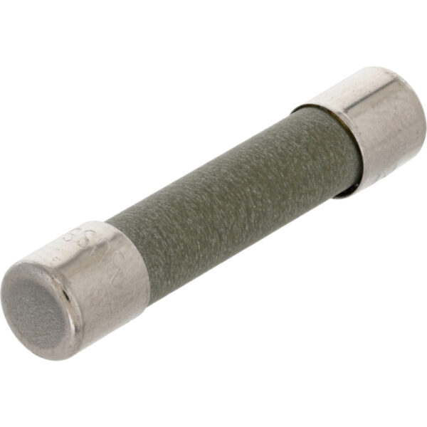 6 Amp ceramic fast-acting fuse with nickel-plated endcaps shown on white background.
