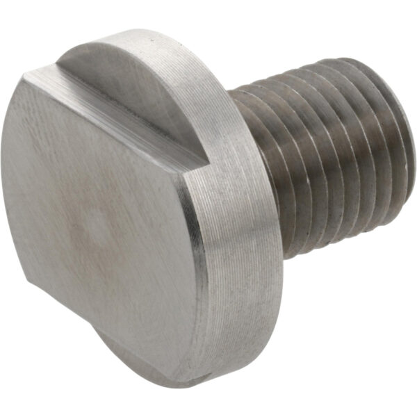 Stainless steel threaded screw with machined flats on white background.