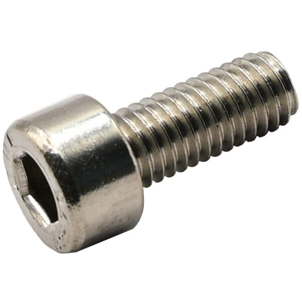 Stainless steel M5 by 12mm socket head cap screw on white background.